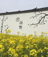 ̤�࣬�������Ͳ˻�