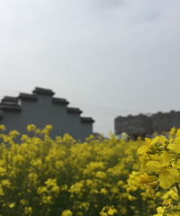 ̤�࣬�������Ͳ˻�