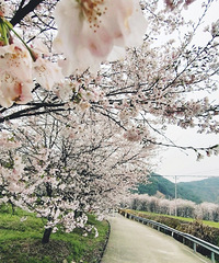 ����Ũ����