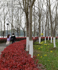 �������