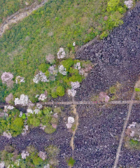 ��ɽʯ�����ȴ���֪��ŵ���ؽ�