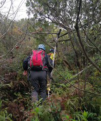 ��ͯ᮴�Խ��ɽ���ߴ�Խ��ɽ�ž麬������