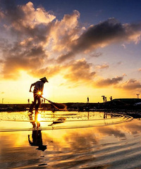 �㶫�������������˼��ɾ�������Ȧ����ը�����ˣ�