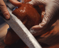 �����ڼ���������Ѽ��������Ƥ������