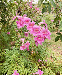 ���۸��᡿����ڸ���ƽ̨�����