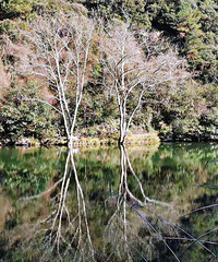 ���۸��᡿�ٰ��������ڰ�δ�����������ϲ���ĸ���