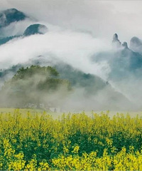 �����о����ġ��������硱�����йز�ס�Ĵ�ɫ