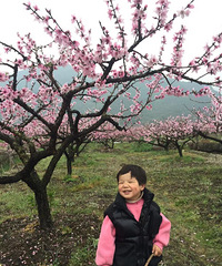 ʮ���һ���ӳ�죬�Ͳ˻��ƴ�����