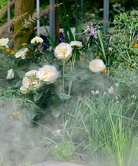 ��̨�ݵ����ѷ�����԰