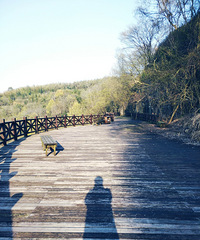 �����ξ����˼䣬 �Ż��ŷ��ɽ��