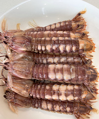 ��ͣ��ʻ�ƤƤϺ25һ����ǲ϶�3.5һ�