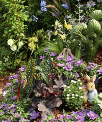 ��̨�ݵ����ѷ�����԰