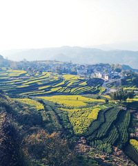 �����ξ����˼䣬 �Ż��ŷ��ɽ��