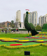 ��������԰�Ĵ��죬��ֻƯ���Ĵ��ȸ