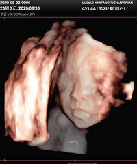 ����������������ر����ã���2021�����ռǡ�