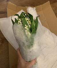 ������������ľ�����ӣ�����50֧����1400