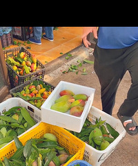 �������ʵ�â����ǮҲ�����ˣ�Ҫ10һ��