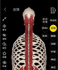 关于捏脊,这是我见过的最通俗的说明