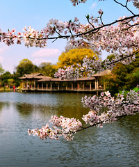 ����Ѭ���������������ķ羰�Ƕ�ô����