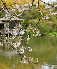 ����Ѭ���������������ķ羰�Ƕ�ô����