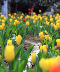 ��һ�������ˮӡ�ٺ�������ֽ��̫����������