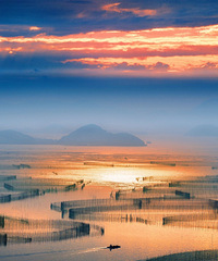 �㽭�ټ��Ļ���С�ǣ����ճ�Ƭ��100%���������ȥ���ã�