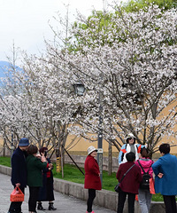 ̨�ݸ���ӣ����