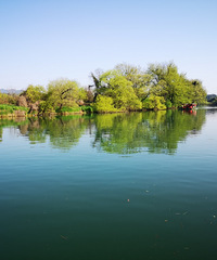 �����������µĺ�ʱ�⣬�߽��Ͳ˻�ʢ���Ĵ�ׯ