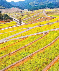 �������㽭��ñ�������ɽˮ�ؾ���3����ӣ��ӭ���ͻ���