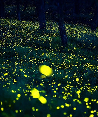 ���С��̫�λ��ˣ���ӵ16km��ө����Ǻ�