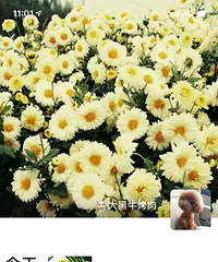 ������ϲ���ķ��꣬���Ŵ���1�Ǳ���Ҿٱ�����Ȧ����