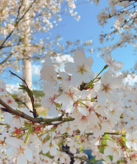 ���ϻ�����·�ϣ����еĿͻ���������ȥ���Ͳ˻���ӣ��