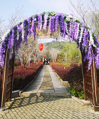 �һ�����Ц���磬��������������Դ