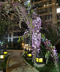 �ڿ���Է�Ҳ�˵������Σ����ٱ���ס��������Լ�����ͦ�õ�