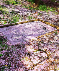 ӣ����ӣ�������ӣ��