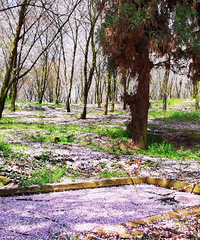 ӣ����ӣ�������ӣ��