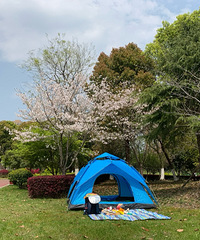 ���Ұ�ͣ�ǡ�ɷ��ֽ���ӣ���ڿ�Ļ