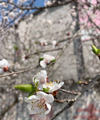 ���۸��᡿���֪���Լ����˼��ֵĲ������ô����