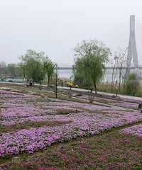 �ٺ�ΰ�ǳǹ�԰��ɫ