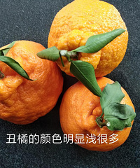 �����١��͡��ҰҸ̡���ô���ζ���ڸв��