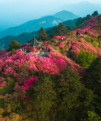 ���±�ȥ��15���ط�����ֻȥ��5�������أ�