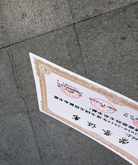 ȫ���޳���Ѫ���׽��������о��е�����