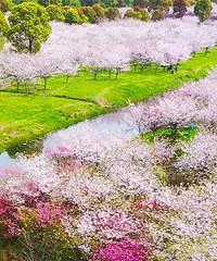 �㽭�������Լ����ã���ӵ250000�Oӣ����