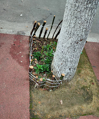 ��ǰһ����С���ԣ��о�������