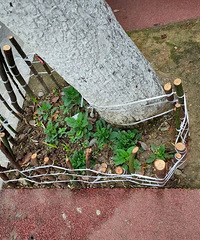 ��ǰһ����С���ԣ��о�������