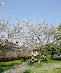 �ٺ�ӣ��������ʱ��Ҫ���ĸ���