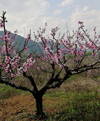 ����ʮ�ﲻ���㣬�������һ���β��