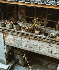 ʯ���Ͻ� | ����һ���ʻ��������