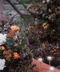 ��ѡ���������죬ǧ���ܺ��ӵĻ鳵���ɣ�