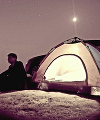 ����¶Ӫ�ǣ�ϣ���´���¶Ӫȥ���ֵܽ���һ��